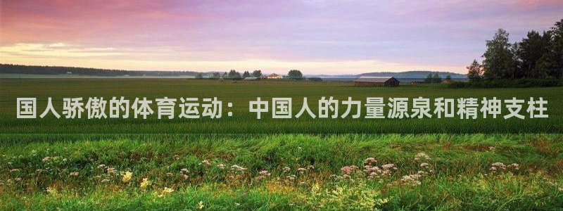 中欧体育ios：国人骄傲的体育运动：中国人的力量源泉和精神支柱