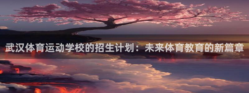 中欧体育平台：武汉体育运动学校的招生计划：未来体育教育的新篇章
