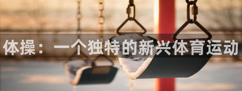 kok新版中欧体育：体操：一个独特的新兴体育运动