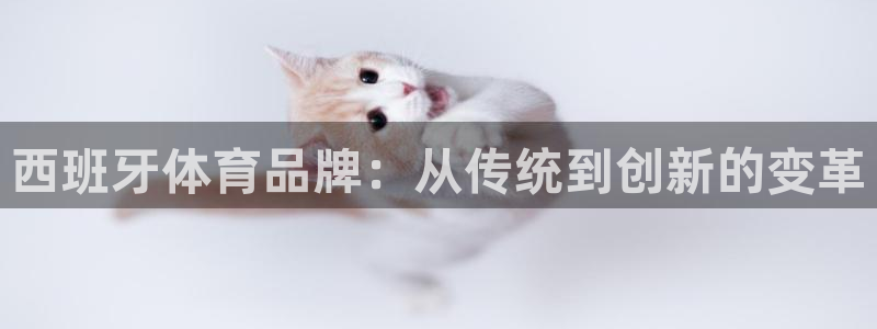 中欧体育李勇鸿：西班牙体育品牌：从传统到创新的变革