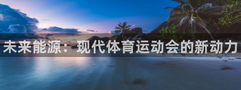 中欧体育李勇鸿：未来能源：现代体育运动会的新动力