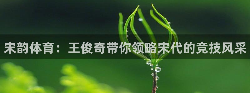 中欧体育app：宋韵体育：王俊奇带你领略宋代的竞技风采