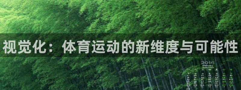 kok中欧体育登录：视觉化：体育运动的新维度与可能性