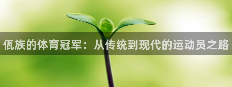 kok中欧体育登录：佤族的体育冠军：从传统到现代的运动员之路